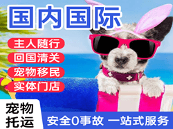 大庆航空快运国际宠物托运 【国